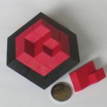 Illusions Puzzler